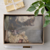 Kitten Symphony von Julius Adam II Seidenpapier (Geschenk)