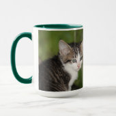 Kitten Tasse (Links)