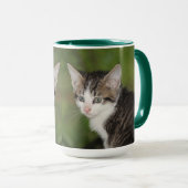 Kitten Tasse (VorderseiteRechts)