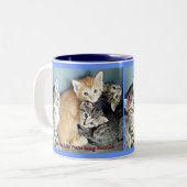 Kitten Tasse (Vorderseite Links)