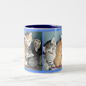 Kitten Tasse (Mittel)