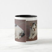Kitten Tasse (Zentrum)