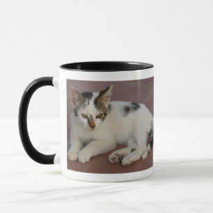 Kitten Tasse