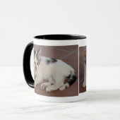 Kitten Tasse (Vorderseite Links)