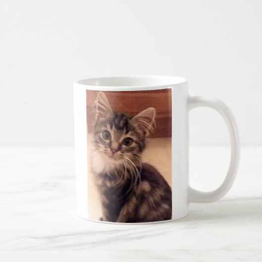 Kitten Tasse Cup Cat Liebe (Rechts)