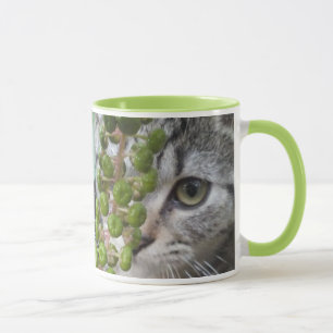 Kitten-Tasse verbergen Tasse