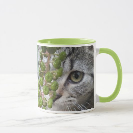 Kitten-Tasse verbergen Tasse (Rechts)