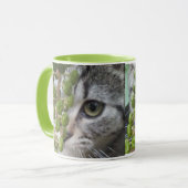 Kitten-Tasse verbergen Tasse (Vorderseite Links)