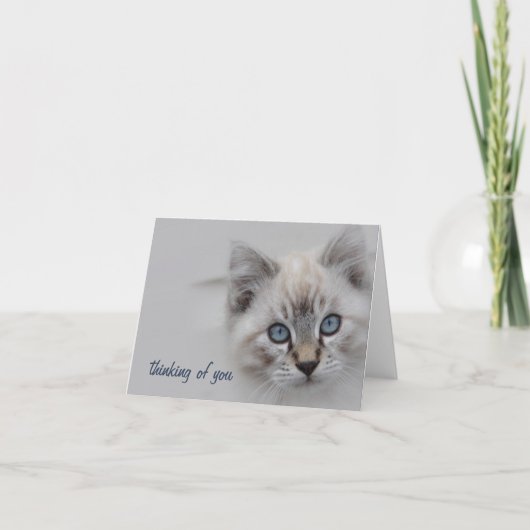 Kitten Thinking Your Card - Anpassbar Dankeskarte (Vorderseite)