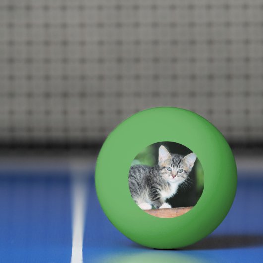 Kitten Tischtennisball (Netto)