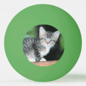 Kitten Tischtennisball (Rückseite)