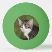 Kitten Tischtennisball (Vorderseite)