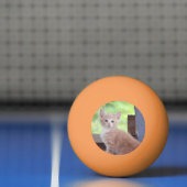 Kitten Tischtennisball (Netto)