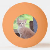 Kitten Tischtennisball (Rückseite)