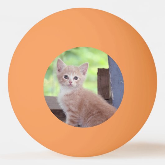 Kitten Tischtennisball (Rückseite)