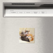 Kitten Trio Magnet (In Situ (Geschirrspüler))