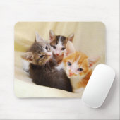 Kitten Trio Mousepad (Mit Mouse)