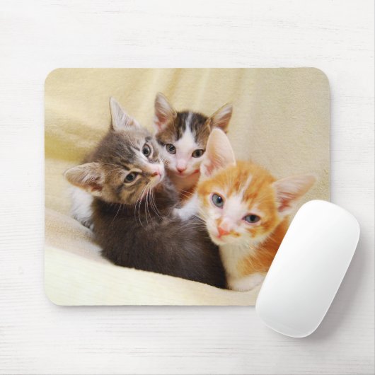 Kitten Trio Mousepad (Mit Mouse)