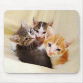 Kitten Trio Mousepad (Vorne)
