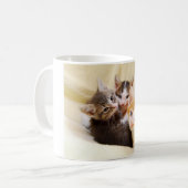 Kitten Trio Tasse (Vorderseite Links)