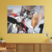 Kitten und Ball Leinwanddruck (Insitu (Wohnzimmer))
