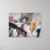 Kitten und Ball Leinwanddruck (Vorderseite)