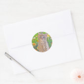 Kitten und Blume Runder Aufkleber (Umschlag)
