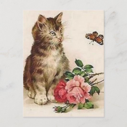 Kitten und Butterfly Postkarte (Vorderseite)