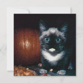 Kitten und Kürbis zu Halloween Einladung (Vorderseite)