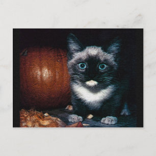 Kitten und Kürbis zu Halloween Postkarte