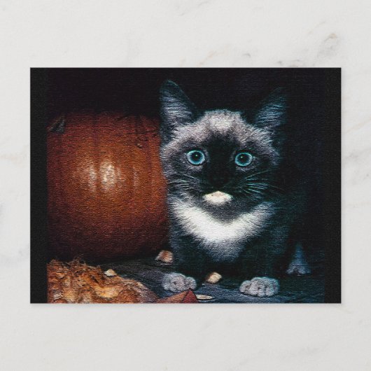 Kitten und Kürbis zu Halloween Postkarte (Vorderseite)