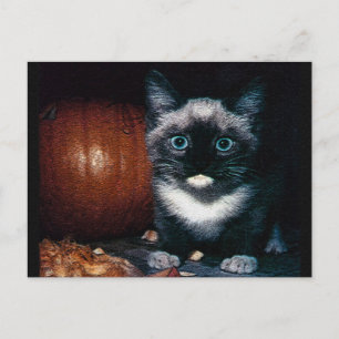 Kitten und Kürbis zu Halloween Postkarte