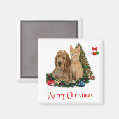 Kitten und Welpen Magnet (Vorderseite/Rückseite)
