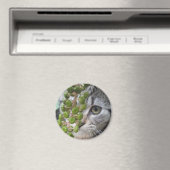 Kitten verbergen magnet (In Situ (Geschirrspüler))