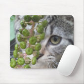 Kitten verbergen mousepad (Mit Mouse)