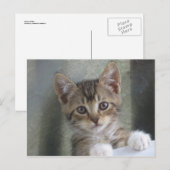 Kitten verbergen postkarte (Vorne/Hinten)