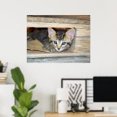 Kitten verstecken und suchen poster (Heimbüro)