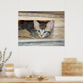 Kitten verstecken und suchen poster (Küche)