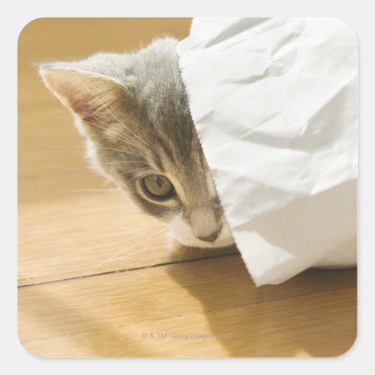 Kitten versteckt sich in Papiertüte Quadratischer Aufkleber (Vorderseite)