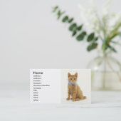 Kitten Visitenkarte (Stehend Vorderseite)