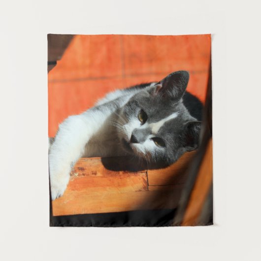 Kitten Wandteppich (Vorderseite)