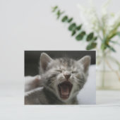 Kitten Yawning Postcard Postkarte (Stehend Vorderseite)