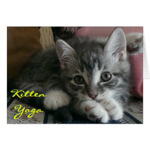 Kitten Yoga (Cheer Card) - Umschlag inbegriffen