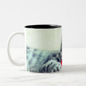 Kitten Zweifarbige Tasse (Links)