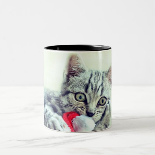 Kitten Zweifarbige Tasse (Mittel)