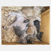 KITTENBOX FLEECEDECKE (Vorderseite (Horizontal))
