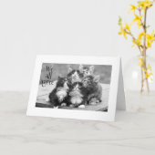 KITTENEN SIND SICH EINIG, DASS UNS EIN GLÜCKLICHER KARTE (Gelbe Blume)