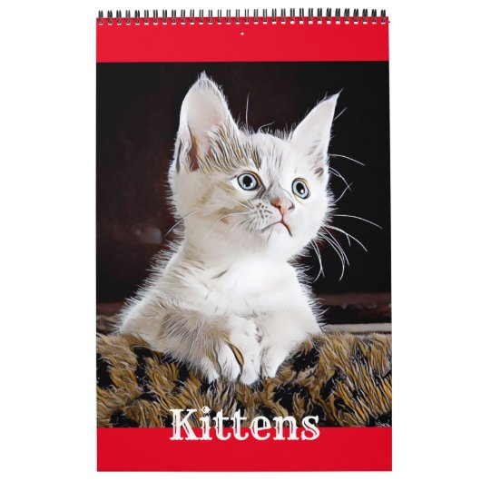 KITTENKATZEN - Kalender (Titelbild)
