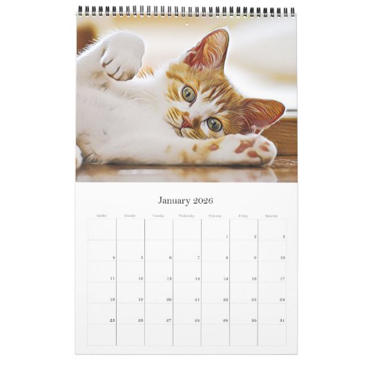 KITTENKATZEN - Kalender (Jan 2026)