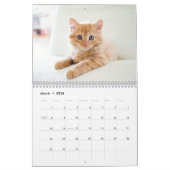 Kittens 2026 Calendar Kalender (Mär 2026)